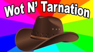 What does &quot;what in tarnation&quot; mean? The origin of the southern influenced what in ___  memes