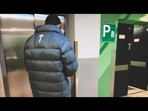 BR1CEA9 - Fly (Official Visualizer)