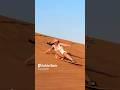 Viral Video Of The YouTube Channel Saharadesert Love Music Desertadventures Viral Desert