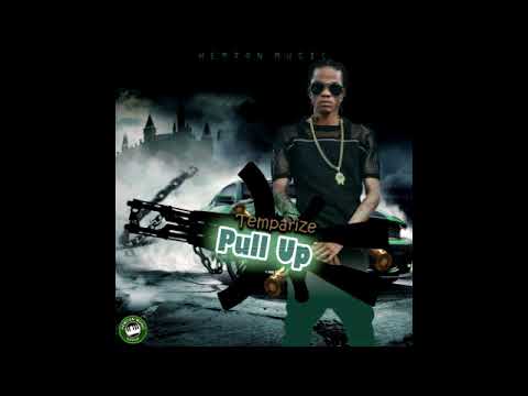 Temparize - Pull Up - February 2018