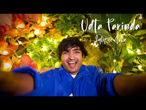 Udta Parinda - Official Music Video | Iqlipse Nova