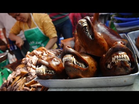 Taiwan become 1st in Asia to ban dog and cat meat; Dog tries to revive his fallen pal - 04/20/2017