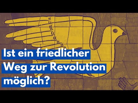 Fabian Lehr Direkt - Ist ein friedlicher Weg zur Revolution möglich?
