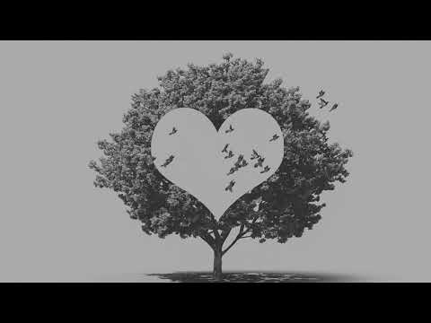 LevyGrey - Replacement (Official Audio)