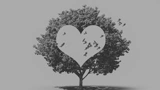 LevyGrey - Replacement (Official Audio)