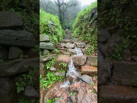 Prabal Gud Maharashtra #shorts