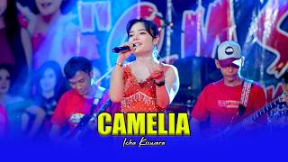 Download lagu CAMELIA - ICHA KISWARA FEAT MAS ABRAM - OM SAVANA SAKJOSE mp3 Download lagu CAMELIA - ICHA KISWARA FEAT MAS ABRAM - OM SAVANA SAKJOSE mp3