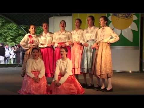 KUD Petro Kuzmjak Novo Orahovo - Orahovačka smotra folklora 2014.