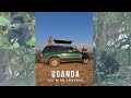 Tips you NEED to know for traveling Uganda