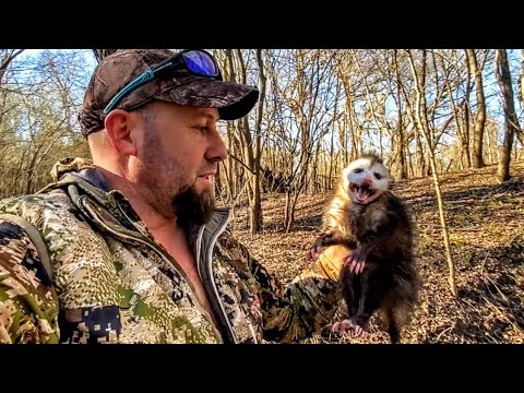 TRAPPING (Raccoon & Possum)!!! Catch & COOK?? or Catch & RELEASE??