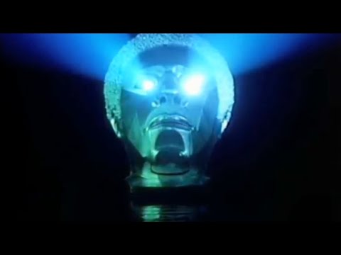 Shadley Peterson  -  Ｄｏｌｐｈｉｎｓ　ｏｎ　ｍｏｌｌｙ