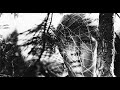 Thee more shallows - 2 AM