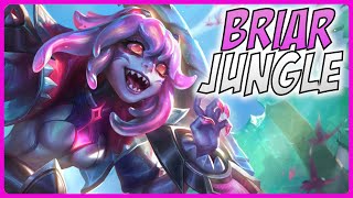 3 Minute Briar Guide - A Guide for League of Legends