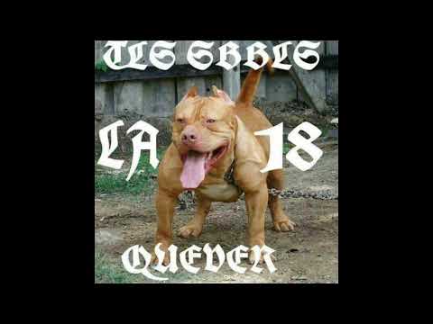 18Revolucionarios-Quever Pueblo sin ley -