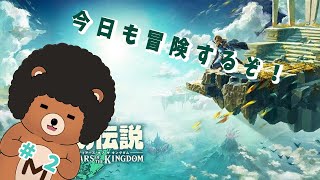 今日も冒険！！＃２【ティアキン】