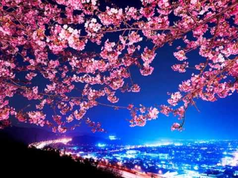 Robots With Rayguns- Your Love (Silent Gloves Remix)