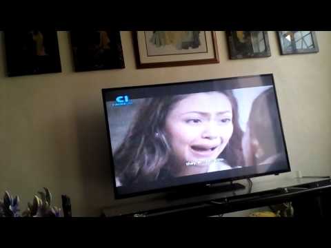 Maria leonora terresa