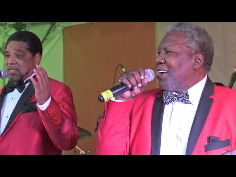 Summer Concert Series - Charlie Thomas' Drifters 8-2-18