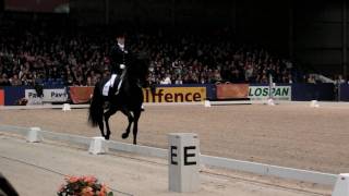 Direction le Canada pour l'étalon Wynton