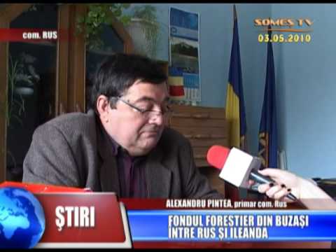 03_Fondul Forestier Din Buzasi Intre Rus Si Ileanda