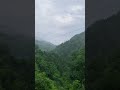 终南山南麓，半山腰处有人家，四周都是山，雨后云雾缭绕，满山绿油油的 shorts