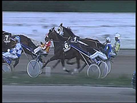 Trotto 21/02/2016 - 6° corsa