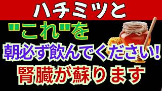 蜂蜜をこのタイミングで摂ると腎臓に良い｜腎臓専門医が伝える5つの習慣｜60歳以降の腎臓ケア