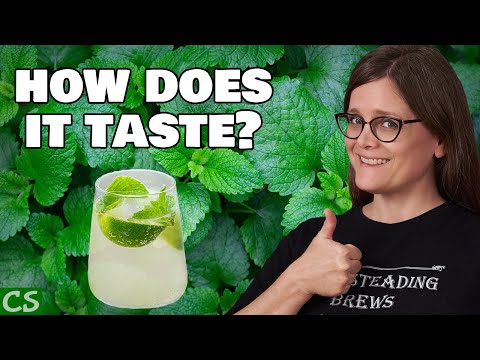 Mojito Kilju Tasting