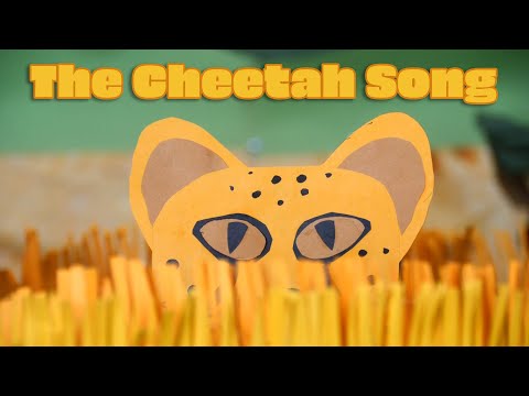 🐆🐆Gepardenlied! Anpassungen, die Geparden schnell machen 🐆🐆