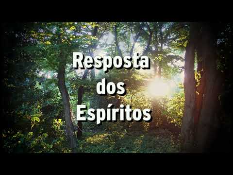 O Livro dos Espíritos - P. 194 –A– DA VOLTA DO ESPÍRITO, EXTINTA A VIDA CORPÓREA, A VIDA ESPIRITUAL