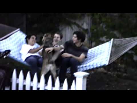 Wallows - Sun Tan