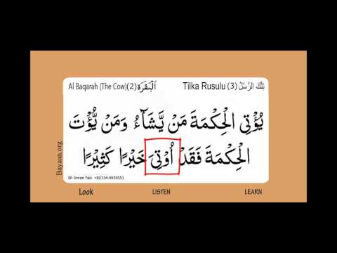 Surah Al Baqarah, The Cow, Surah 002, Verse 269,