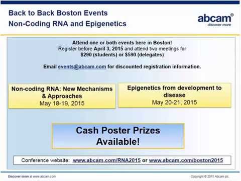 Non Coding RNA and Epigenetics