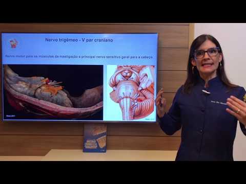 Nervo trigêmeo