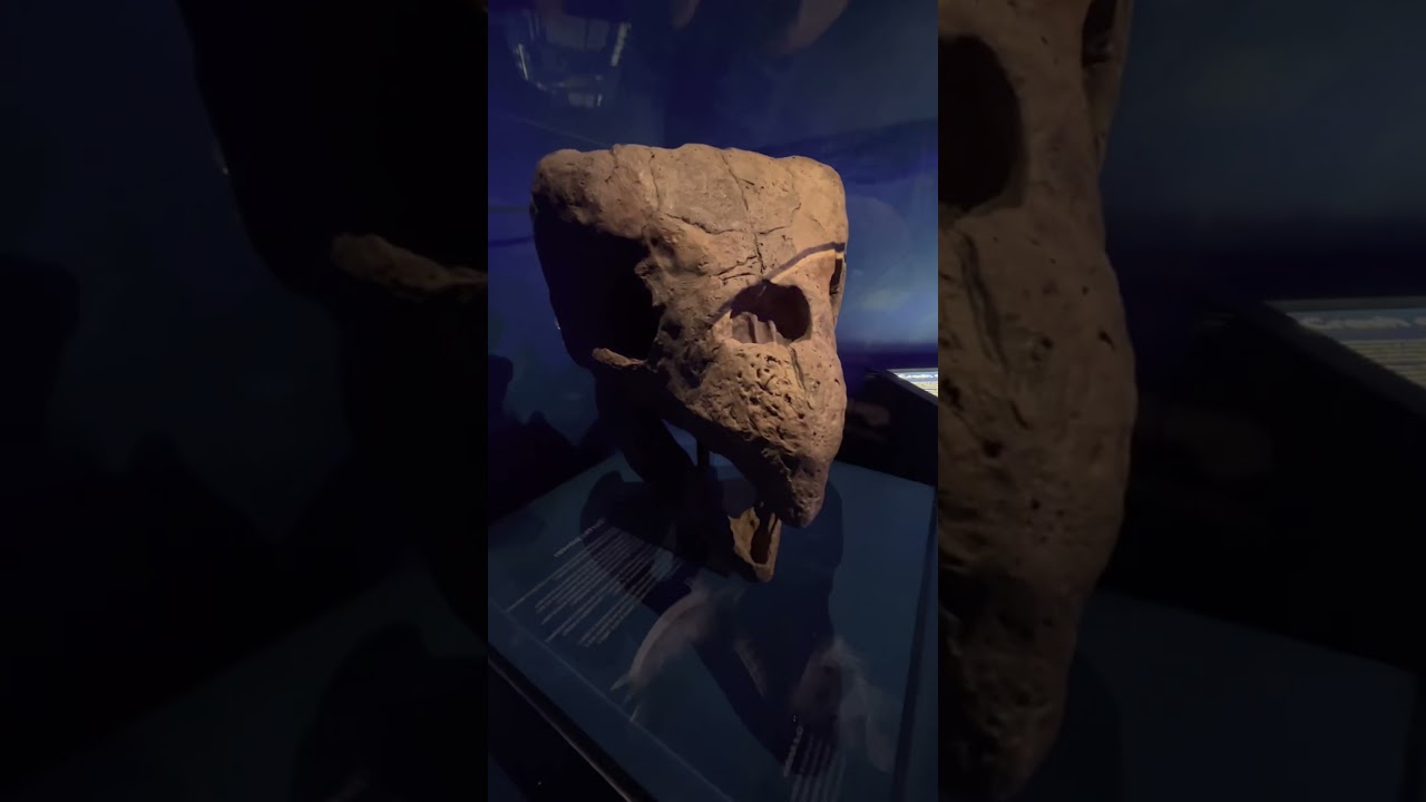 YouTube Short thumbnail