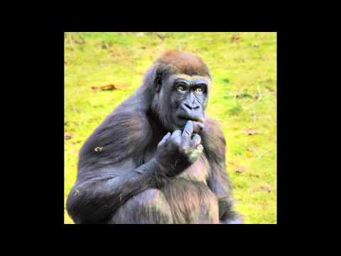 UnicumD3 vs NunspeetD3