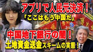 【中国侵略】「ここはもう中国だ」アプリで人民元決算！中国地下銀行の闇！土地資金送金スキームの真実！天敵、片山さつき大臣「非常に由々しき問題」中国系スマホ：アリペイ・ウィーチャットペイ決済の違法性？！