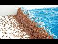 1 000 Ants Vs Natural Disasters