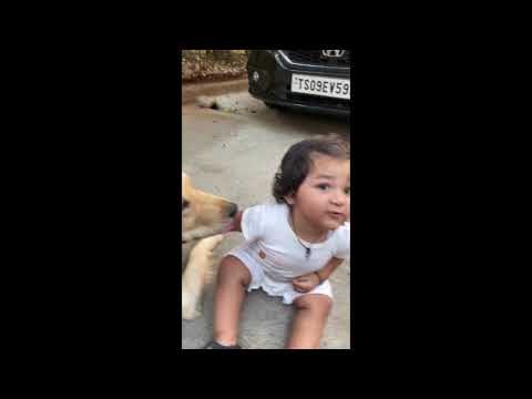 Aakarsh meets Oslo😍 16th march 2021