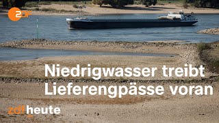 Niedrigwasser: Transport von Getreide, Kohle und Treibstoff gerät ins Stocken | ZDF Morgenmagazin