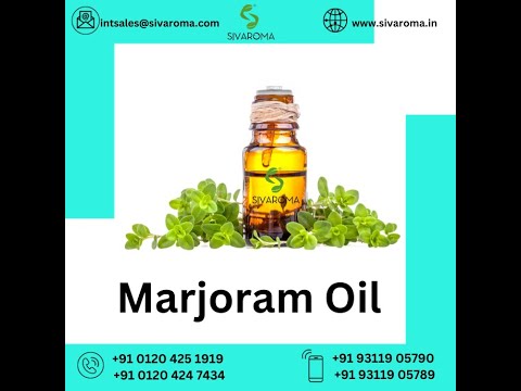 Sweet Marjoram Essential Oil