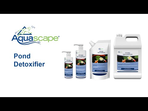 How To Detoxify Pond Water