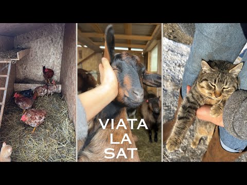 Daily VLOG | Day 1 Winter in the village | Life with pets, children and cleaning the chicken coop