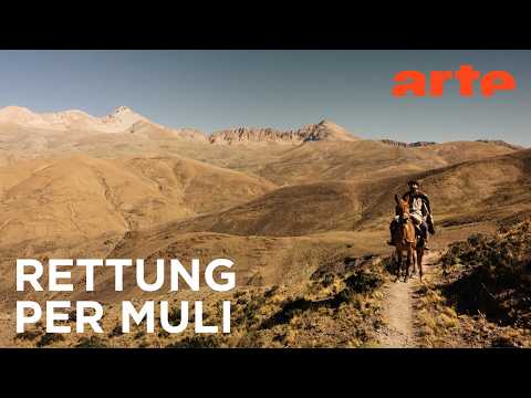 Argentinien: Unterwegs mit dem Anden-Doktor | 360° Reportage | ARTE Fernweh