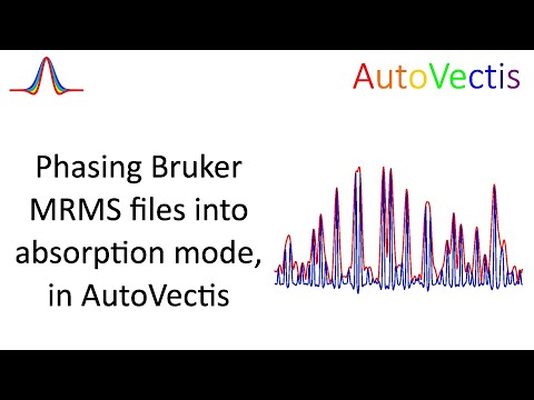 AutoVectis - processing Bruker files to absorption mode
