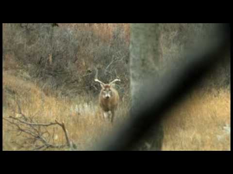 Rhino Ground Blind Hunting