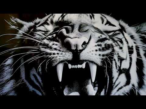 Wonderwall, Vertical Prints, Inh. Kai Dawson - Klicken, um das Video zu öffnen