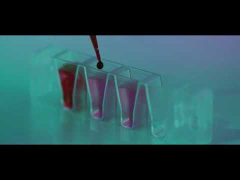 Cinema d'impresa 2018 - Polymero - Francesco Lorenzini presenta PLAX - Premio Social