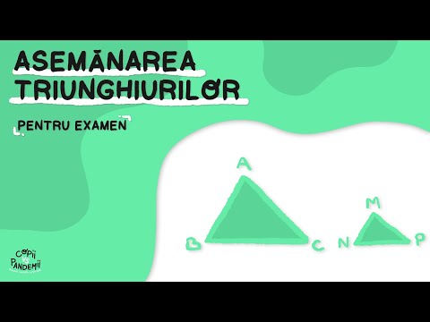 Asemănarea triunghiurilor (Evaluare Națională)