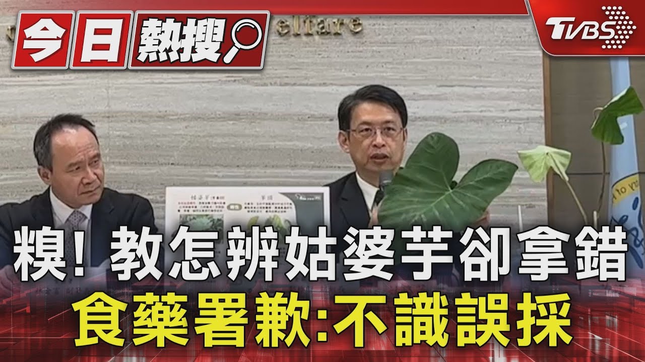 糗！教怎辨姑婆芋卻拿錯　食藥署歉：不識誤採